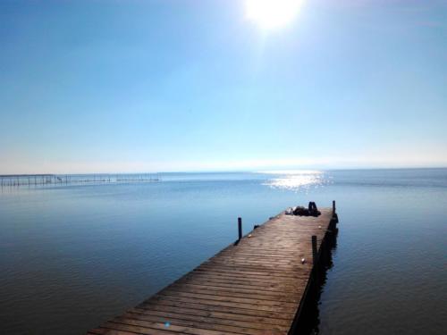 Valencia - Lago de la Albufera